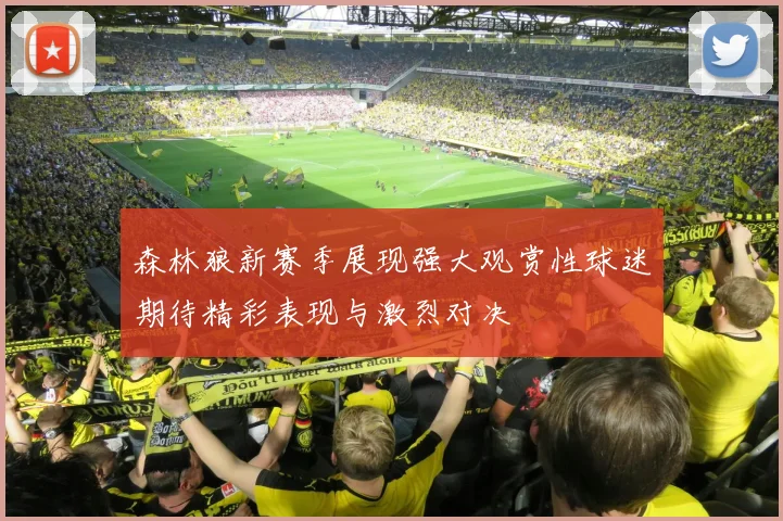 森林狼新赛季展现强大观赏性球迷期待精彩表现与激烈对决